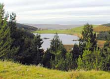 Cogra Moss with Solway firth and Scotland in Distance