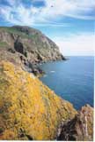 Solway rock marks