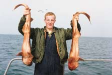 Solway Spurdogs