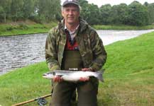 A fresh silver tourist (grilse) from the Spey aug 08