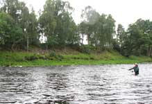 Carol spey casting on Wester Elchies R. Spey Aug 08